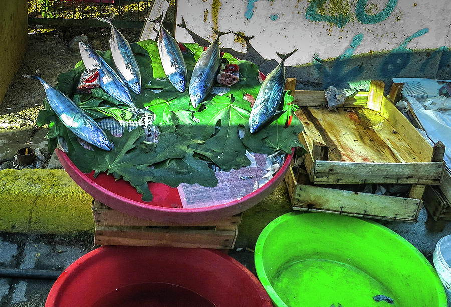 Fish for Sale Photograph by Ross Henton