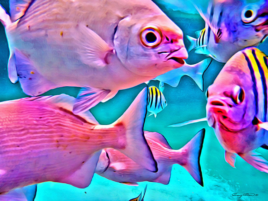 Fish Digital Art - Fish Frenzy by Anthony C Chen
