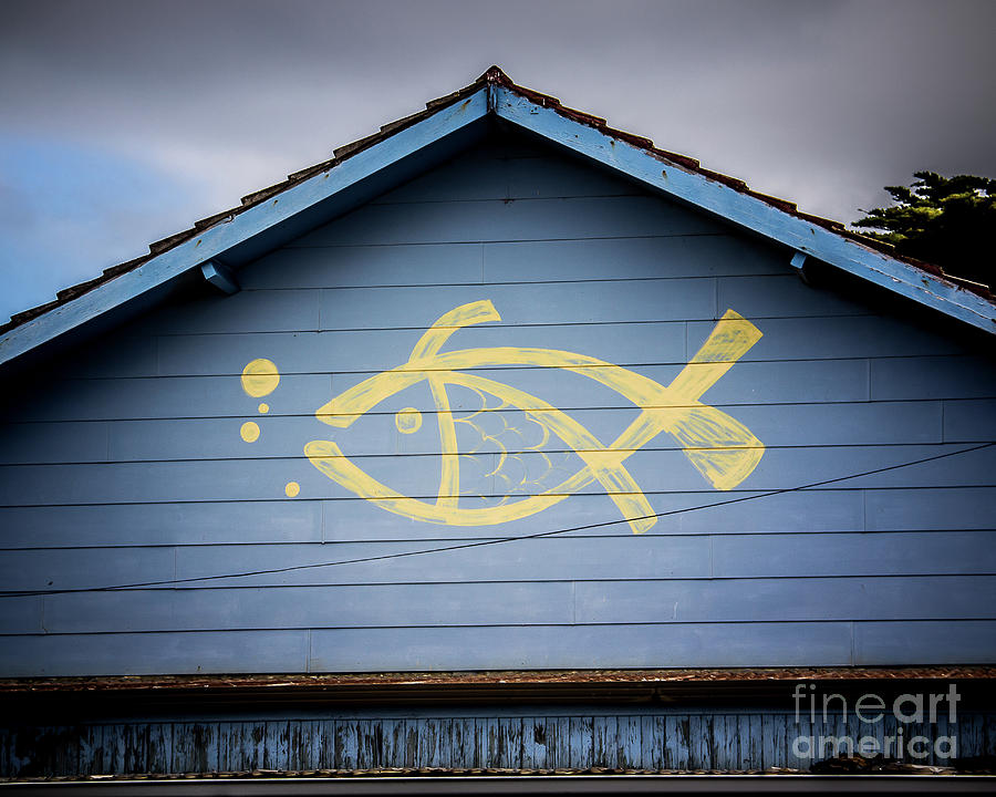 Fish Photograph - Fish House by Perry Webster