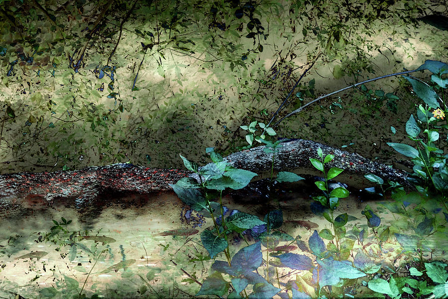 Jungle Digital Art - Fish in the Jungle by William Bader