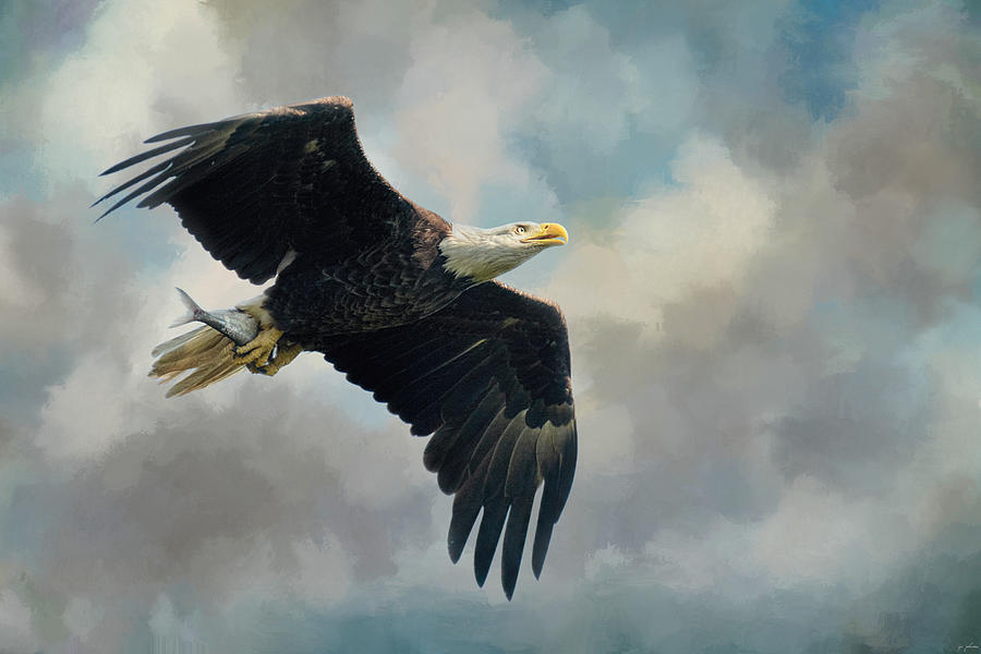Eagle Photograph - Fish In The Talons by Jai Johnson