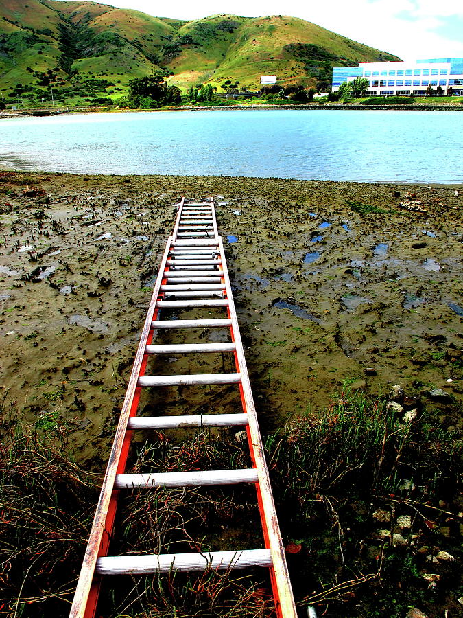 Fish Ladder At Low Tide Photograph by John King I I I