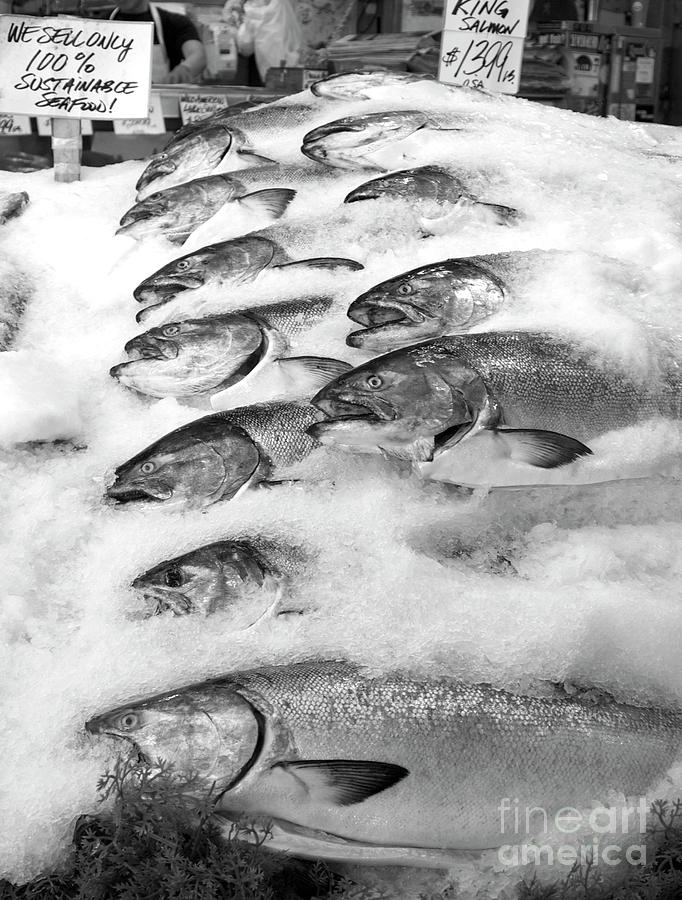 Fish Market  Photograph by Bruce Block