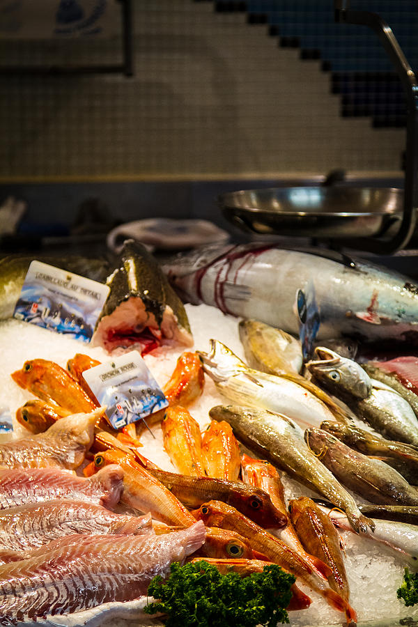 Fish Market by Jason Smith Fish Market by Jason Smith