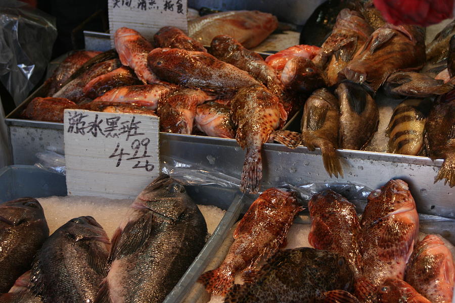 Fish Market San Francisco Photograph by Bill Eggert