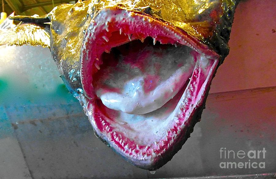 Fish mouth  Photograph by Elisabeth Derichs