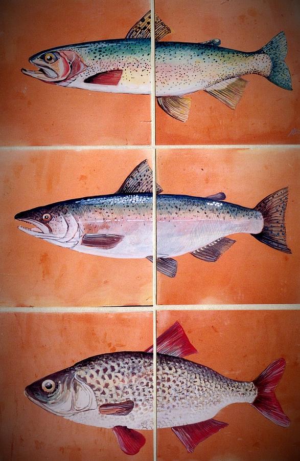 Fish Mural Ceramic Art by Andrew Drozdowicz