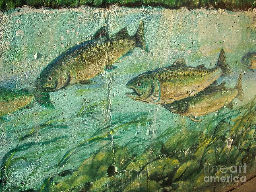 Fish on the wall 2 Photograph by Vesna Antic