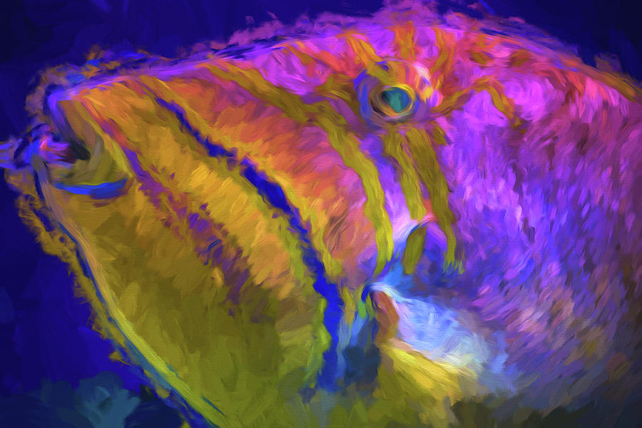 Finding Dory Photograph - Fish Paint Dory Nemo by David Haskett II