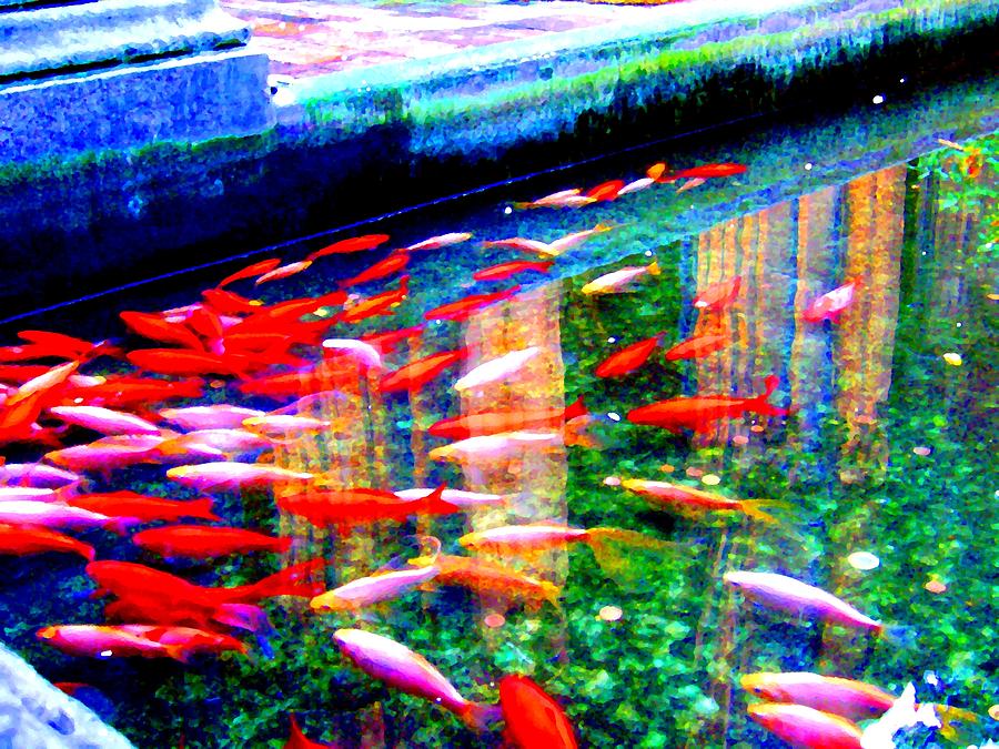 Fish Pond Photograph by Roberto Alamino
