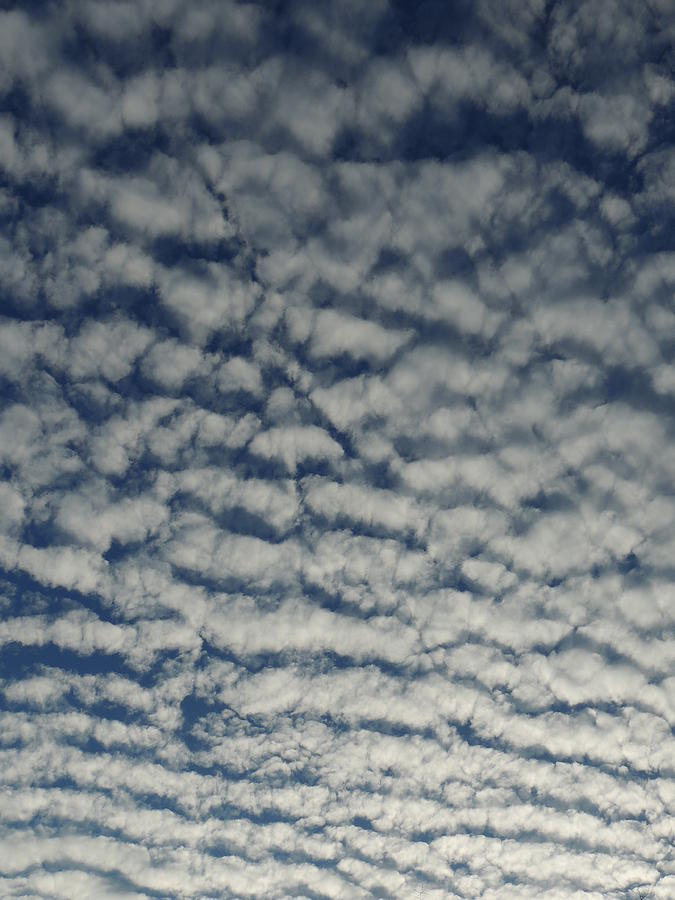 Fish Scale Clouds Photograph by Jamie K Reaser