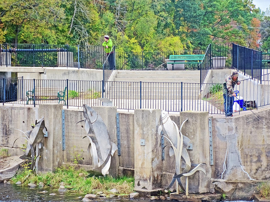 Fish Sculpture at Rogue River Dam and Rogue River Boardwalk in Rockford, Michigan  Photograph by Ruth Hager
