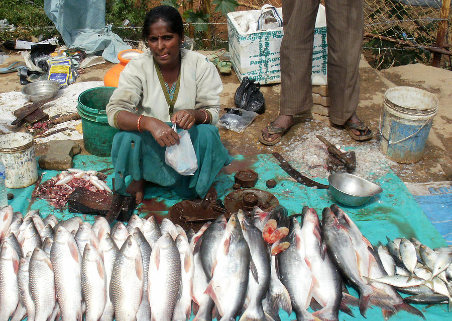 Fish Market Photograph - Fish Seller by Umesh U V