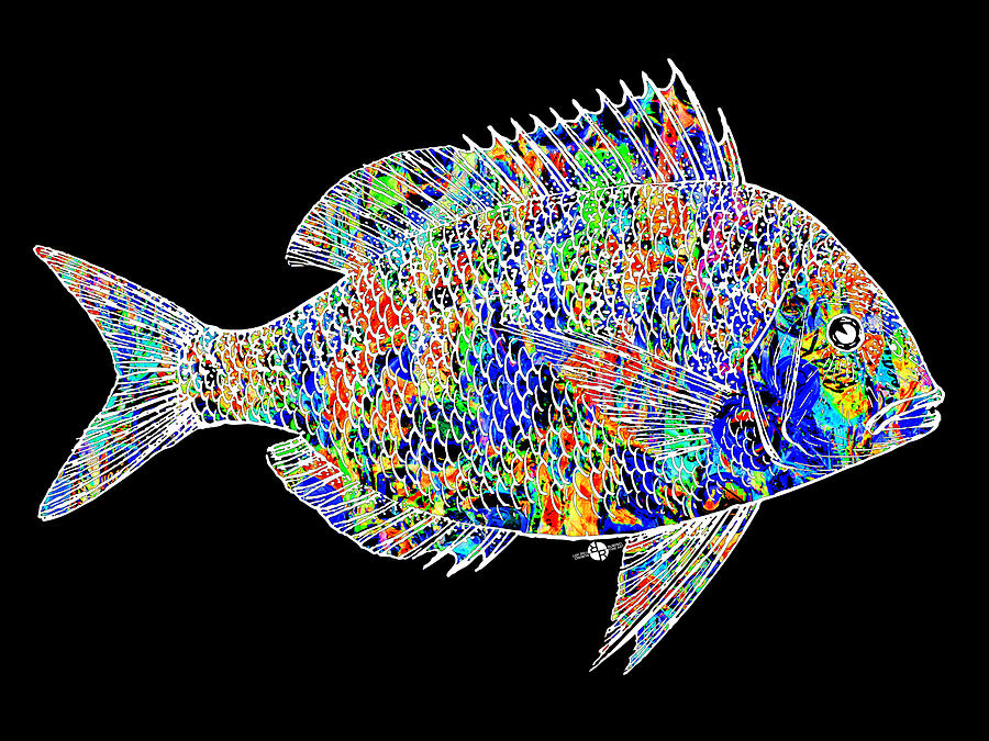Fish Study 2 Painting by Tony Rubino