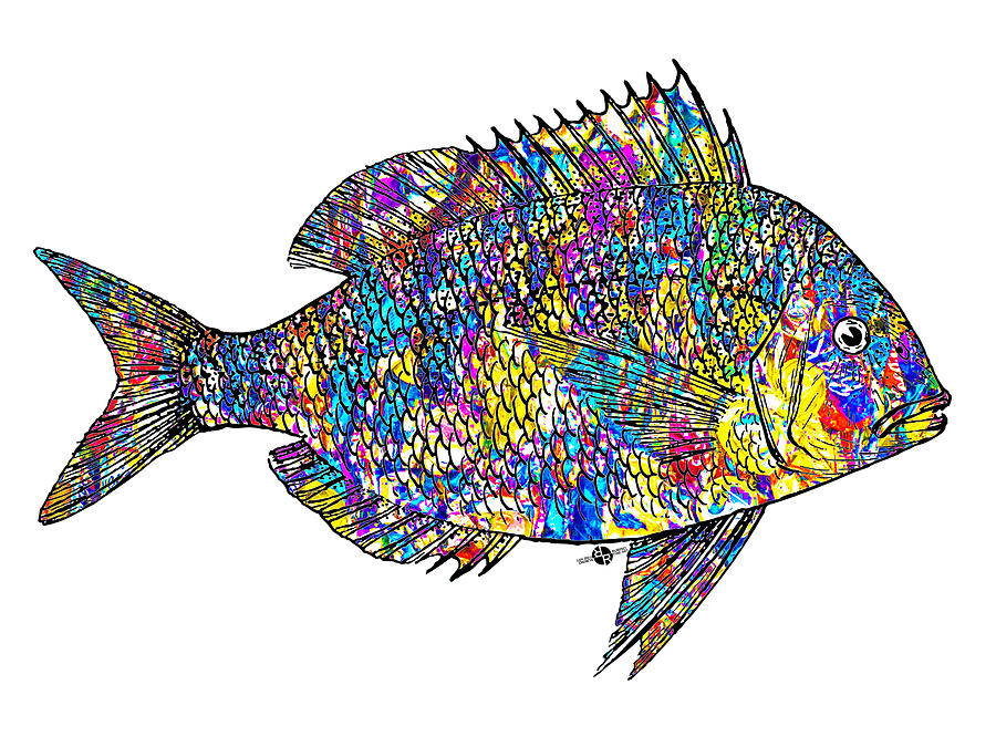 Fish Study 4 Painting by Tony Rubino