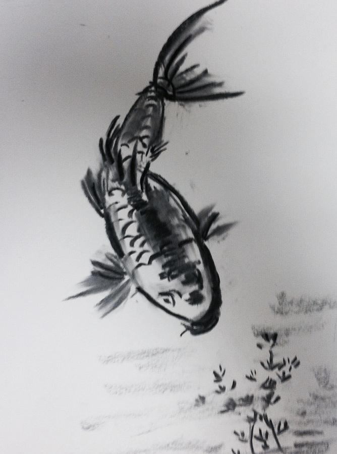 Fish study  Drawing by Hae Kim