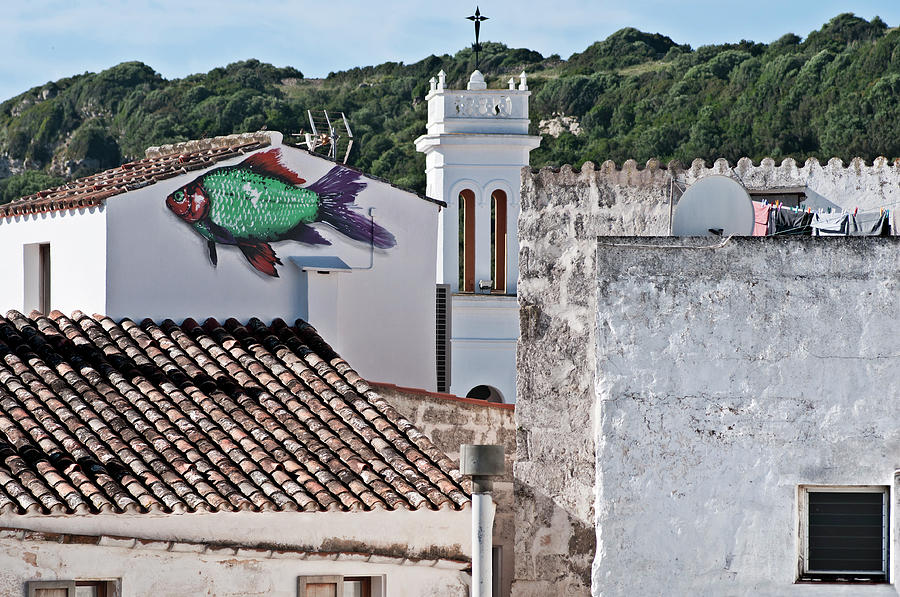 Fish swimming in vintage town roofs Photograph by Pedro Cardona Llambias