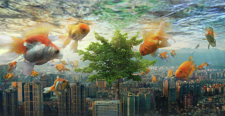 Fish Tank Digital Art by Andrew Kow