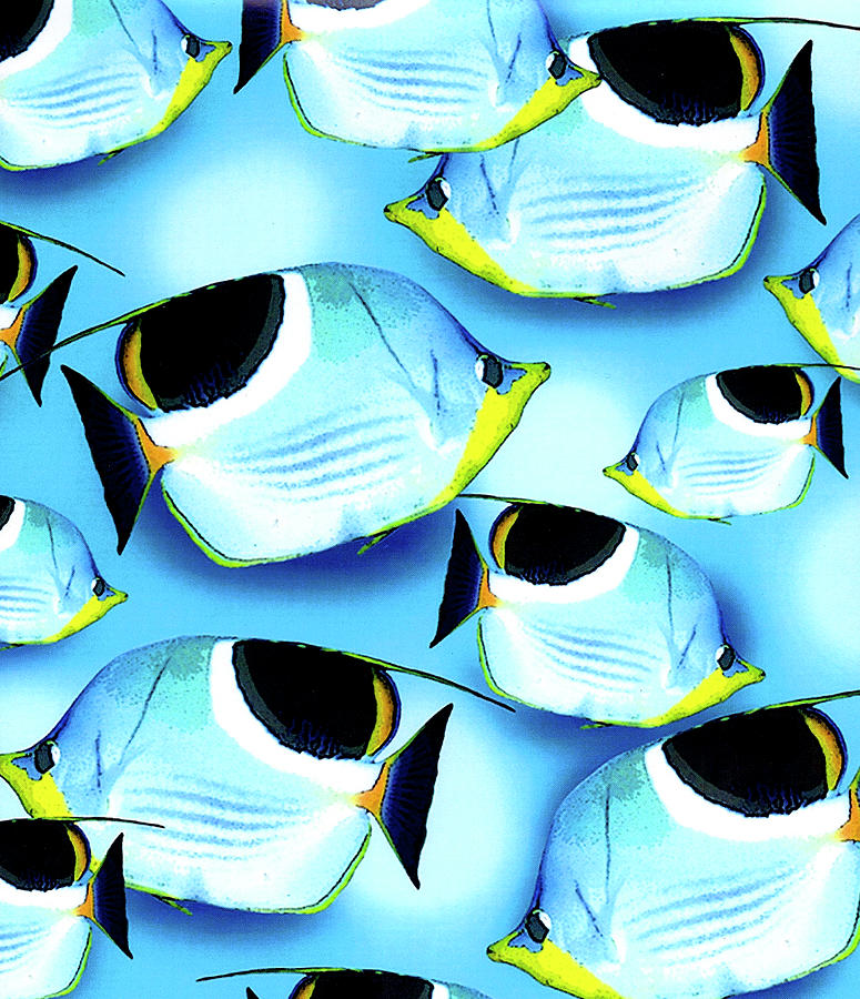 Fish Traffic by Mary Maguire Fish Traffic by Mary Maguire