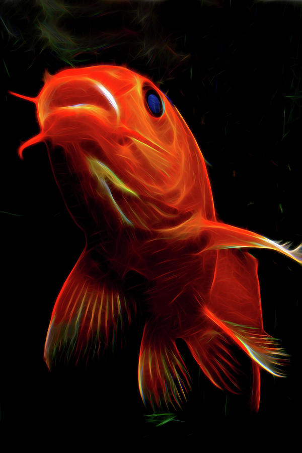 Fish under neon light Photograph by William Le - Fine Art America