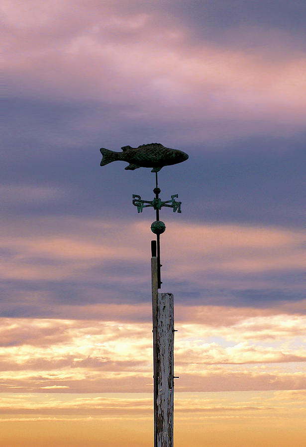 Fish Weather Vane at Sunset Photograph by Charles Harden
