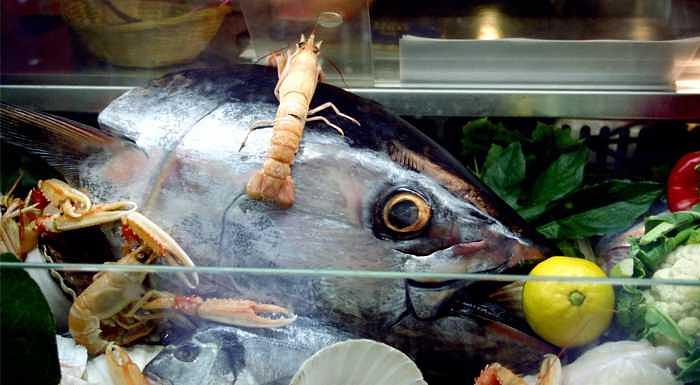 Venice Photograph - Fish with Lemon in Venice by Michael Henderson Venice Photograph - Fish with Lemon in Venice by Michael Henderson