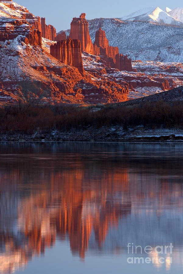 Fisher Towers Reflections In The Colorado Photograph by Adam Jewell