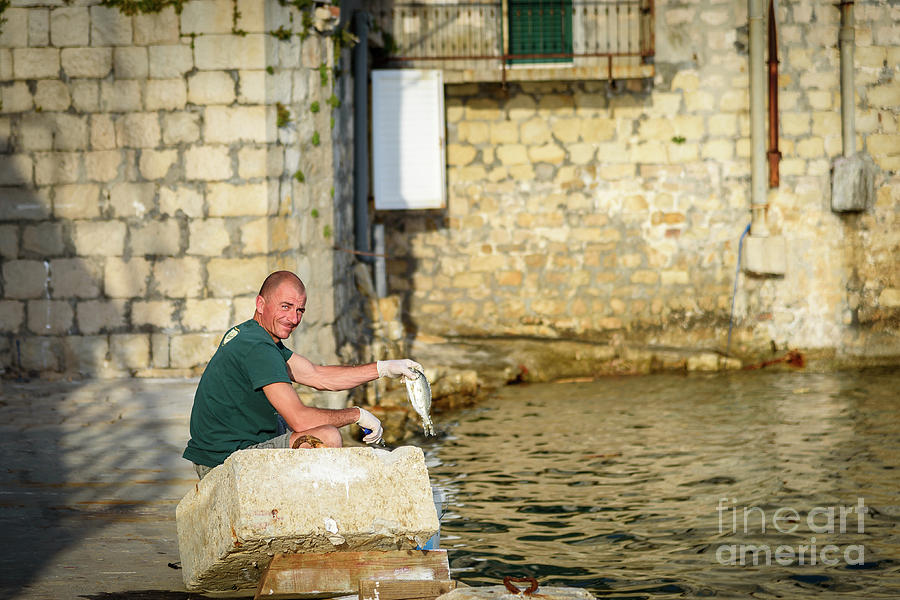 Fisherman Cleans Fish At Kastel Gomilica In Kastela Free City Of