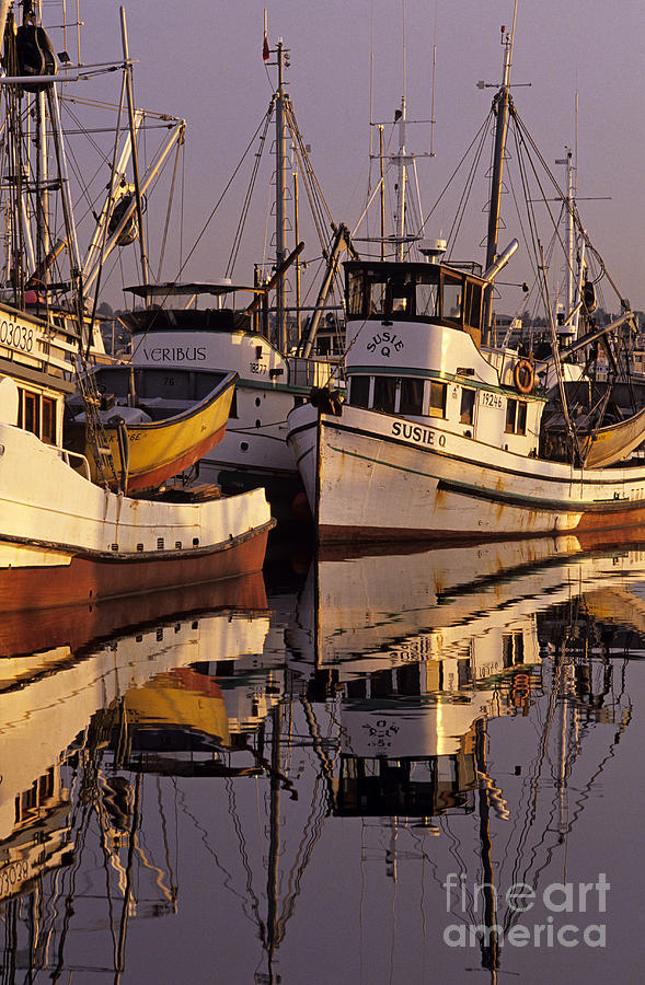 Fishermans Terminal Fishing Boats Photograph by Jim Corwin
