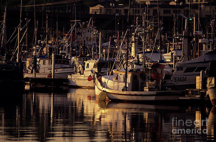 Fishermans Terminal  Photograph by Jim Corwin