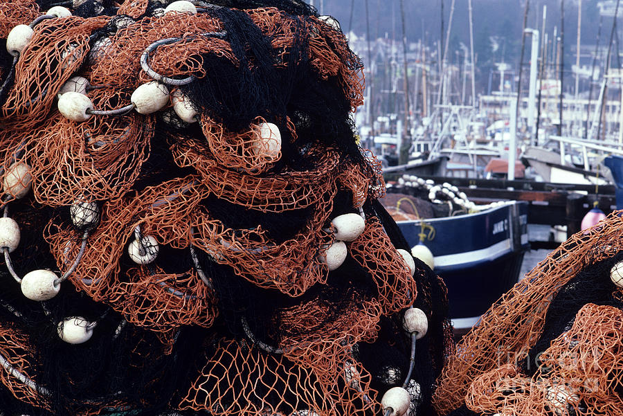 Fishermans Terminal Nets Photograph by Jim Corwin