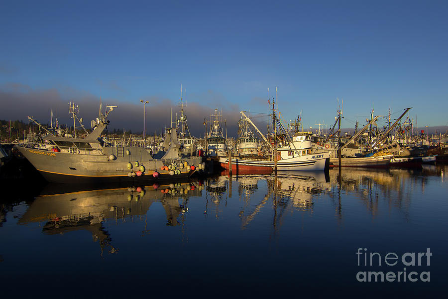 Fishermans Terminal Photograph by Sonya Lang