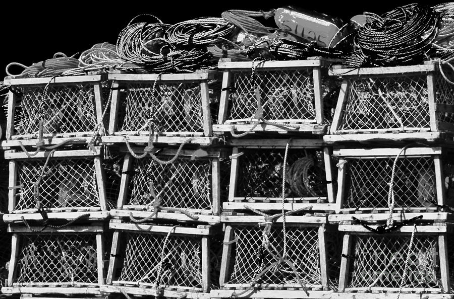 Fishermans Traps Photograph by Debra Banks