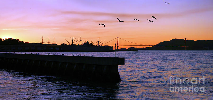 Fishermans Wharf Panorama with Birds at Sunset Photograph by Wernher Krutein