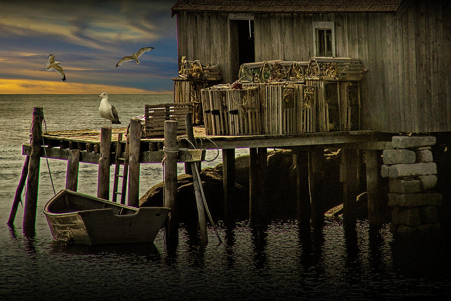 Seagull Photograph - Fishermans Wharf with Gulls at Peggys Cove by Randall Nyhof