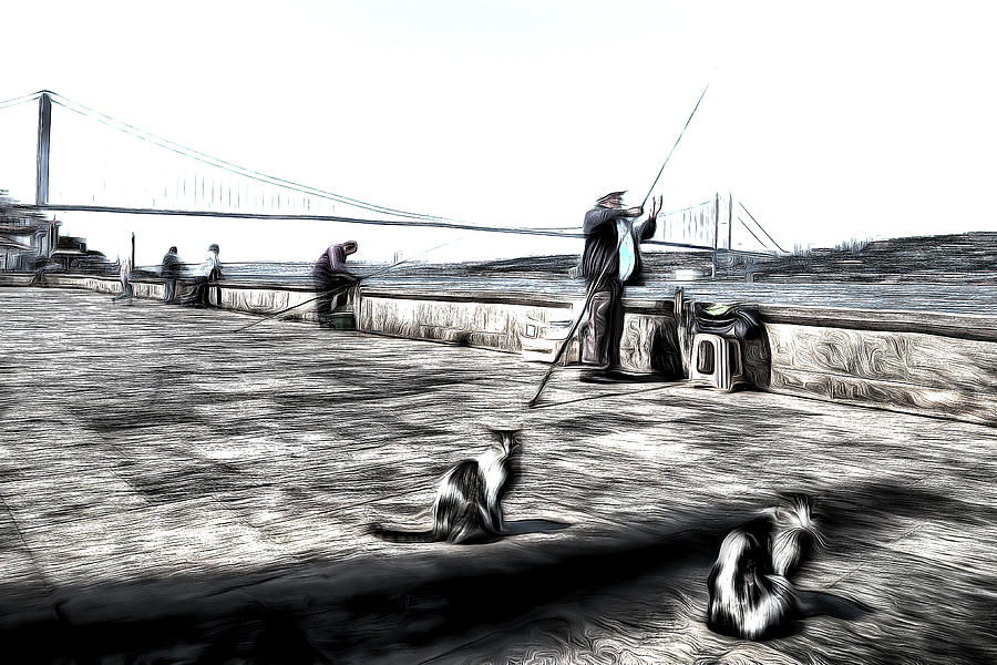 Fishermen And Cats Istanbul Art Mixed Media by David Pyatt