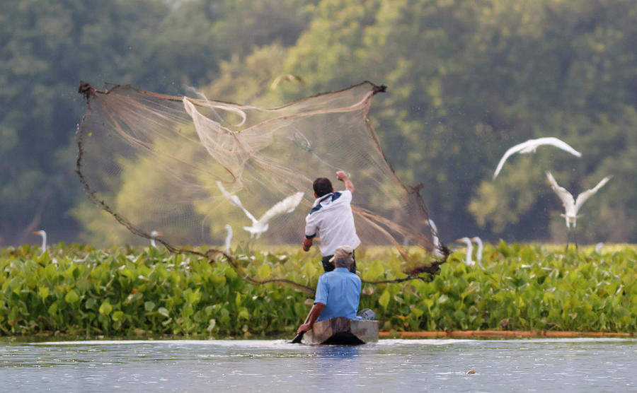 Fishermen and Net at Guarinocito Caldas Colombia Photograph by Adam Rainoff