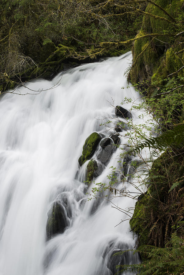 Fishhawk Falls in the Spring Photograph by Robert Potts