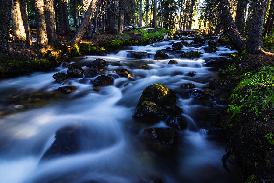 Fishhook Creek in Stanley Idaho USA Photograph by Vishwanath Bhat