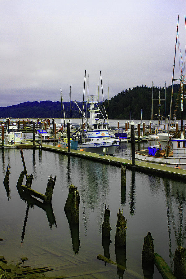 Fishing Boats Along The Oregon Coast Digital Art by Tom Janca