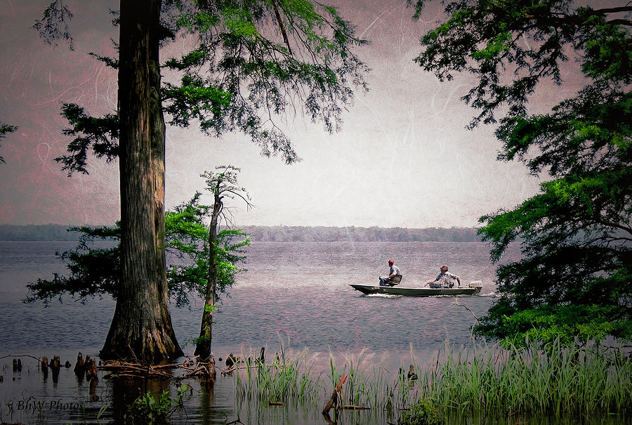Fishing at Reelfoot Lake Photograph by Bonnie Willis