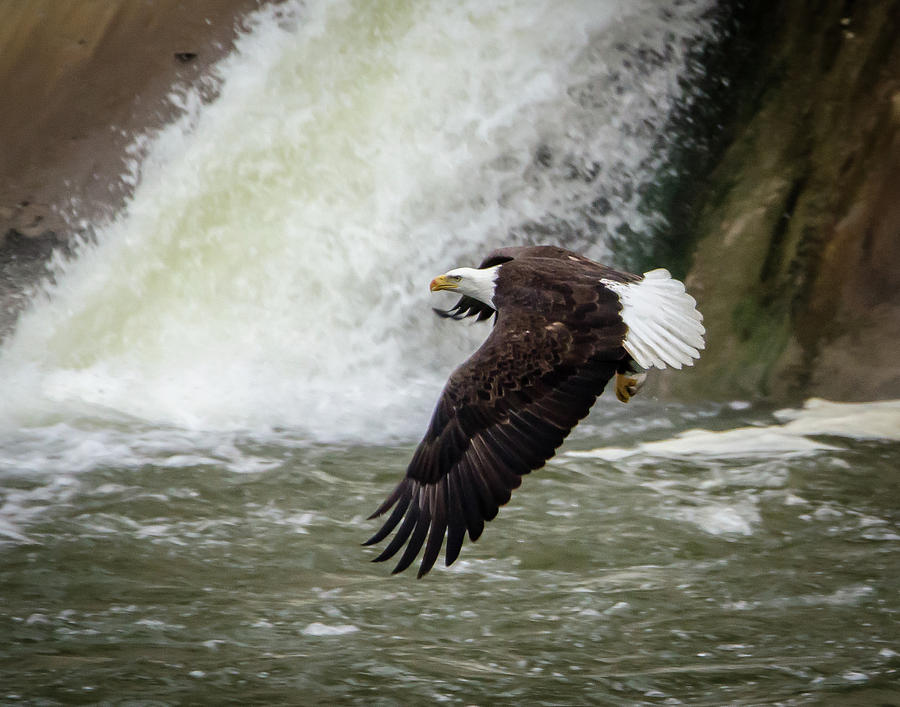 Fishing Beneath The Falls Photograph by Steve Marler