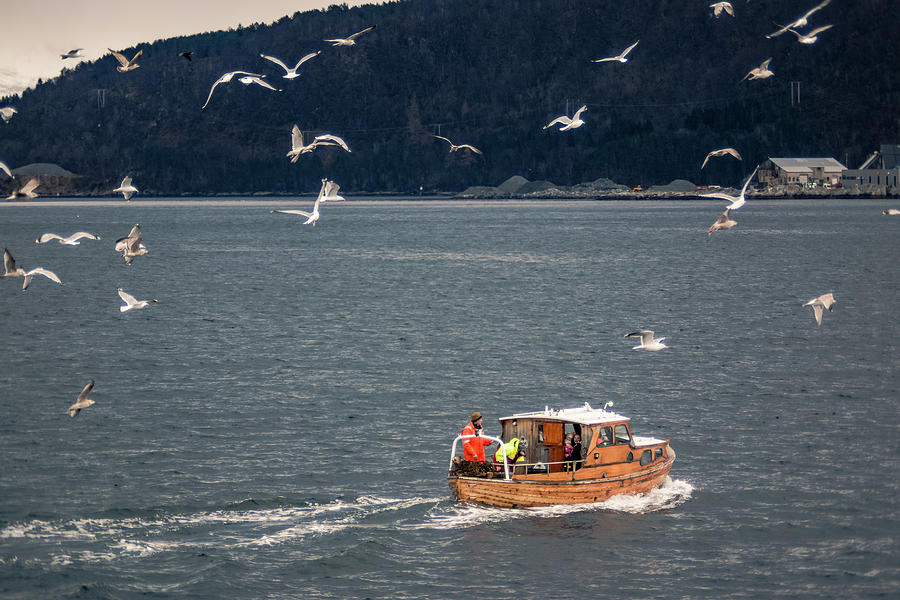 Fishing Boat Alesund Harbor Norway Photograph by Adam Rainoff