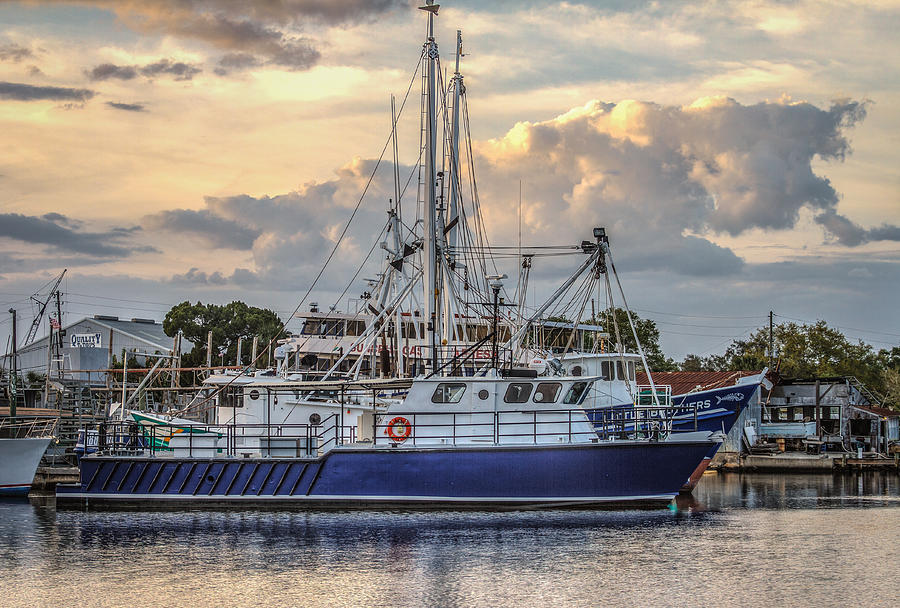 Fishing boat in port Photograph by Jane Luxton
