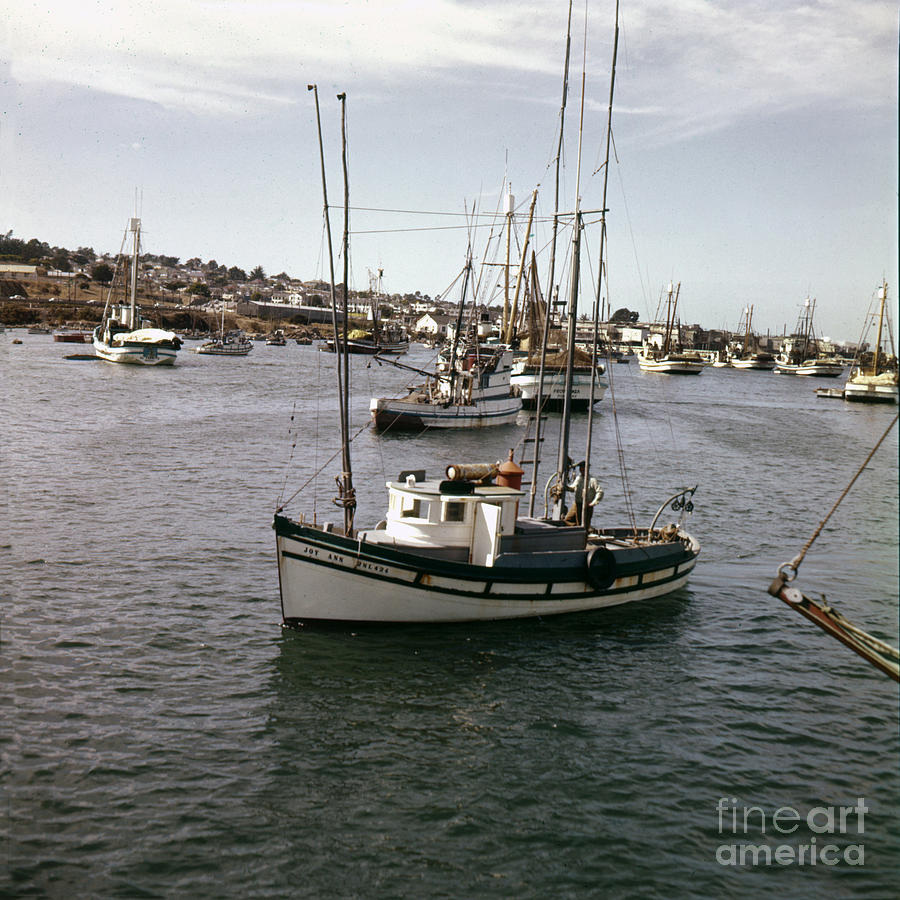 Fishing Boat Photograph - Fishing boat Joy Ann No. 28L424 in Monterey Harbor Circa 1955 by Monterey County Historical Society