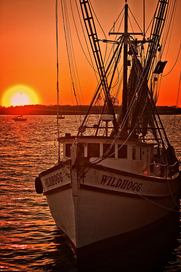 Fishing Boat Sunset Photograph by Diana Powell