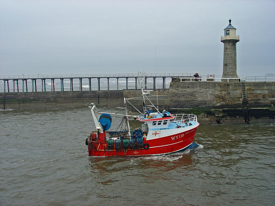 Spring Photograph - Fishing Boat WY110 Emulater, at Whitby by Rod Johnson