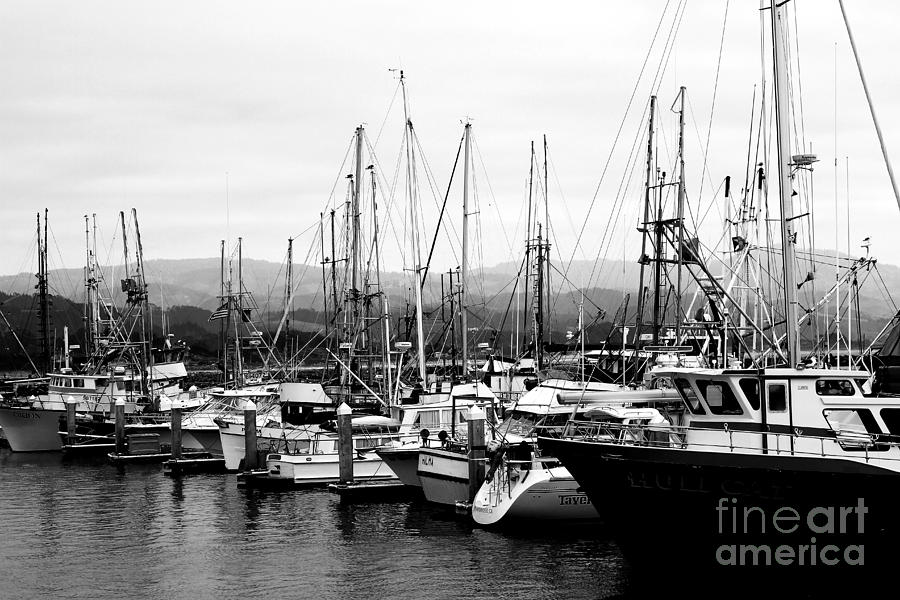 Fishing Boats . 7D8208 Photograph by Wingsdomain Art and Photography