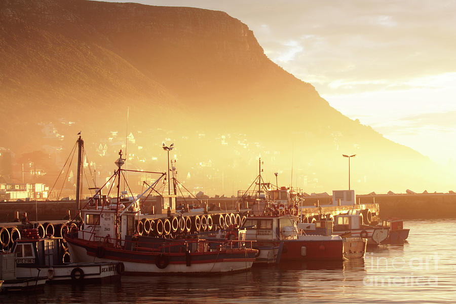 Fishing Boats at Dawn Kalk Bay South Africa Photograph by Neil Overy