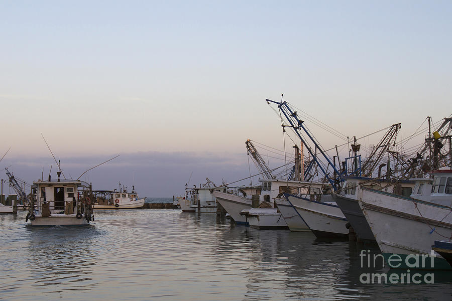Fishing boats at dusk Photograph by Karen Foley